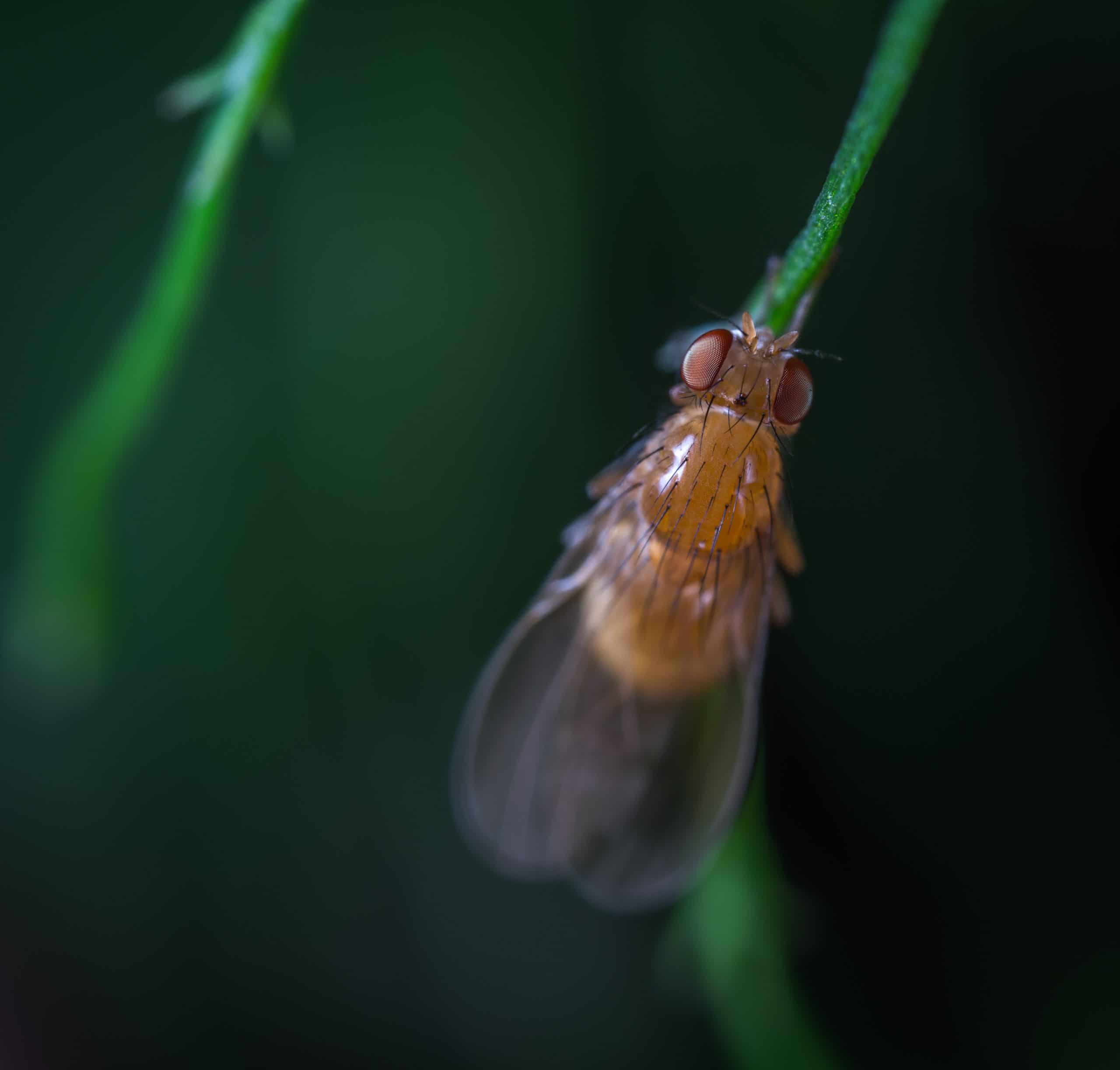 pexels egor kamelev 760091 scaled