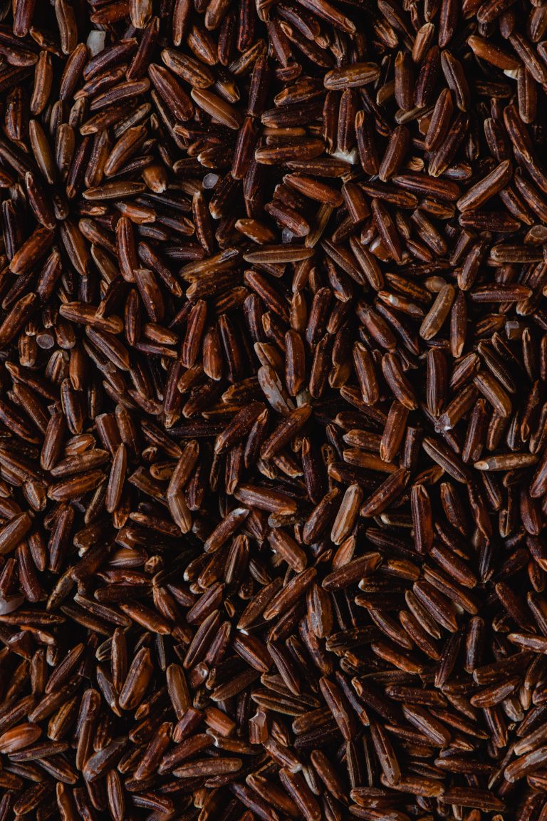 Overview of Mexican and Spanish Red Rice