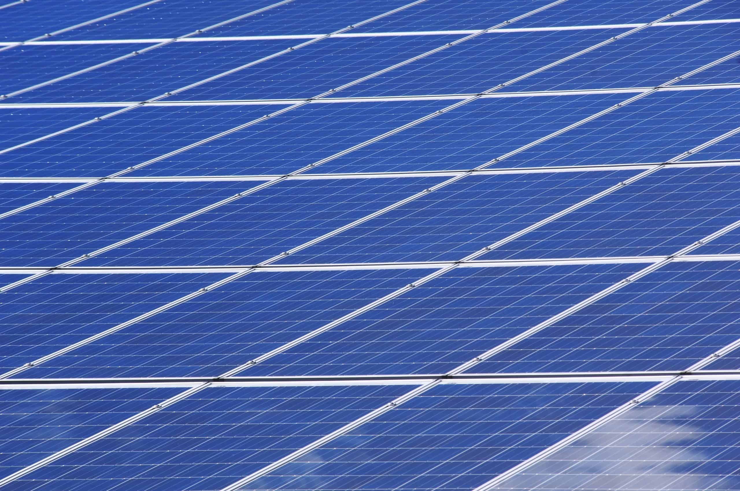 Solar Guy