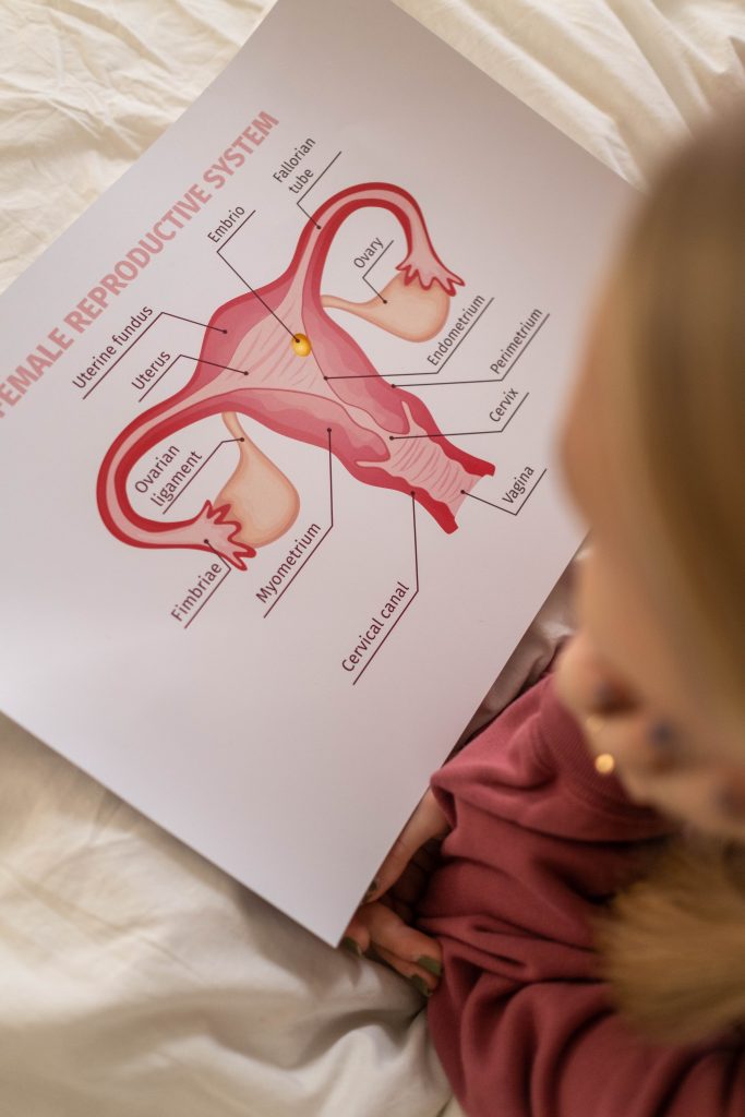 Efficient Techniques for Treating Polycystic Ovary Syndrome, or “Conquering PCOS.”