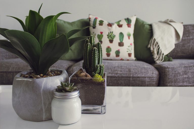 Transform Your Home Decor with the Best Hooks to Hang Pictures