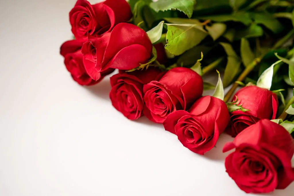 5 Blossoming Industries to Invest In This Year