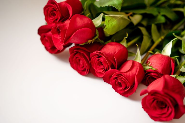 5 Blossoming Industries to Invest In This Year
