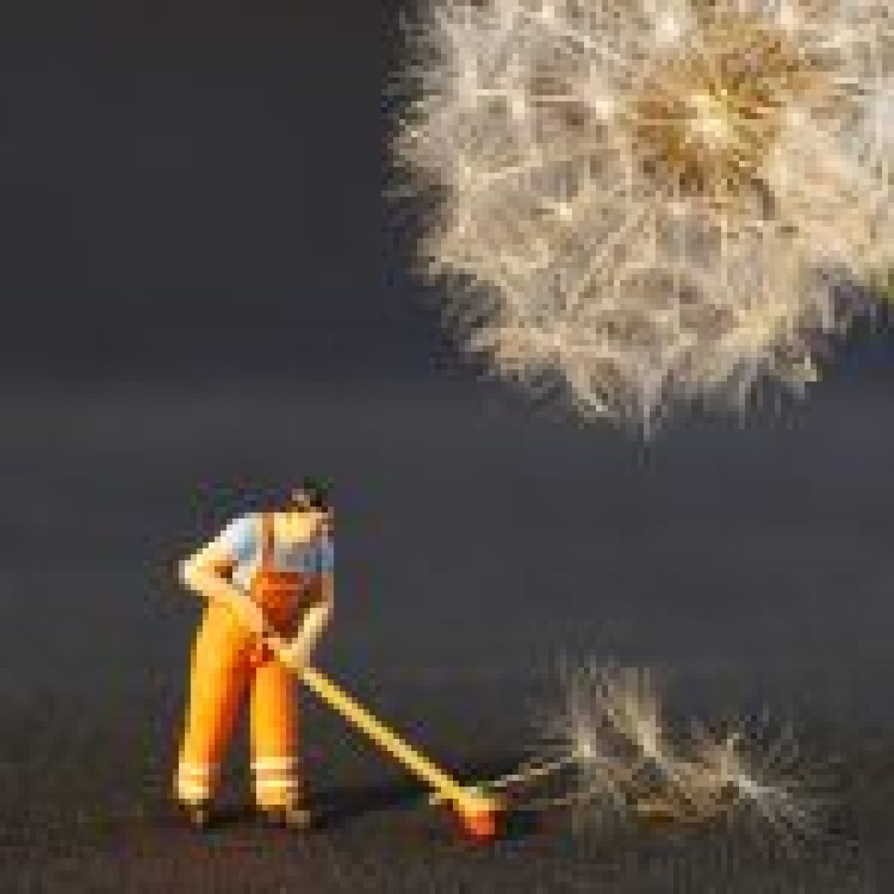 Cleaning Solutions