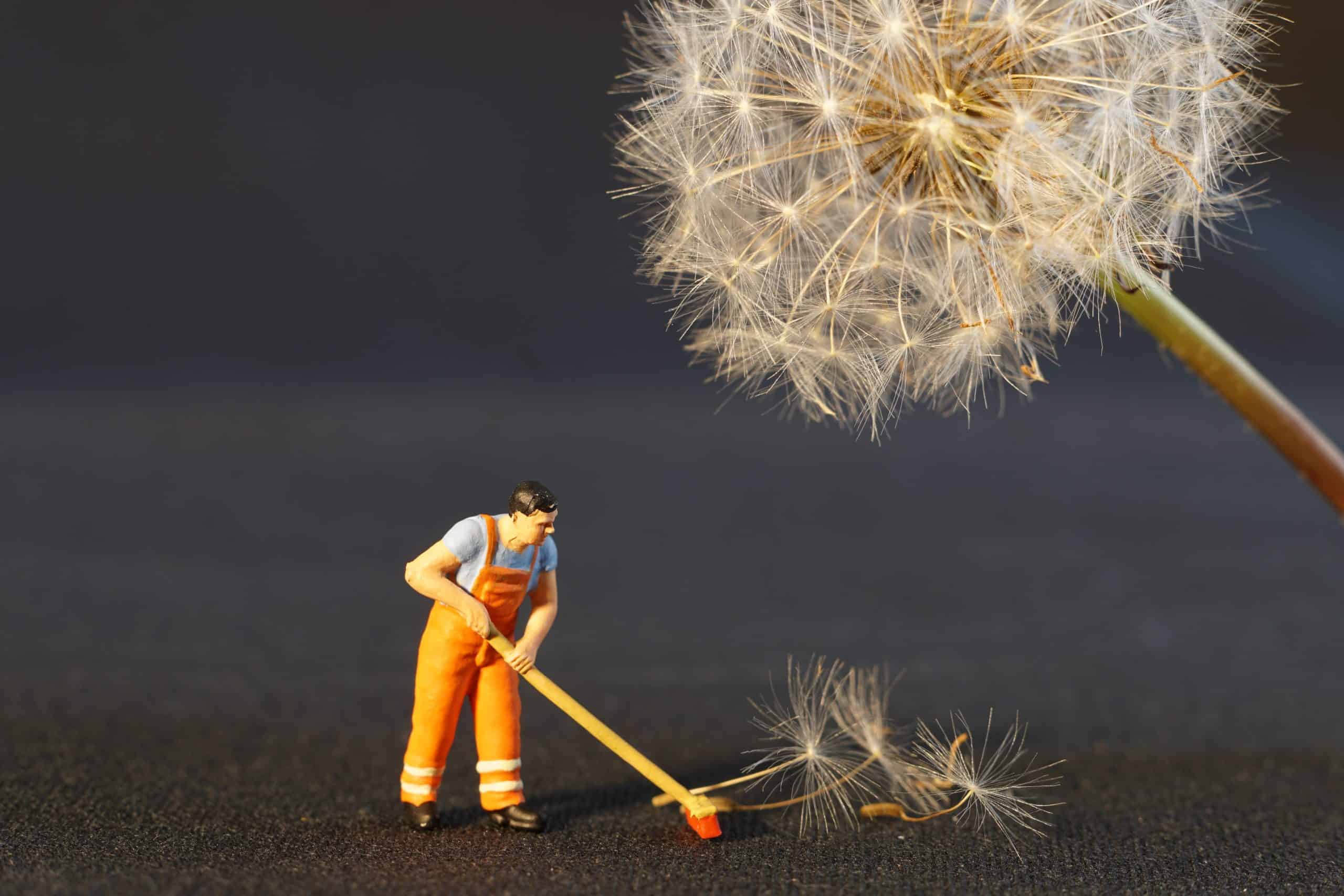 Cleaning Solutions