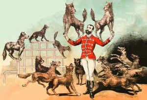 Dog Shows with Infodog