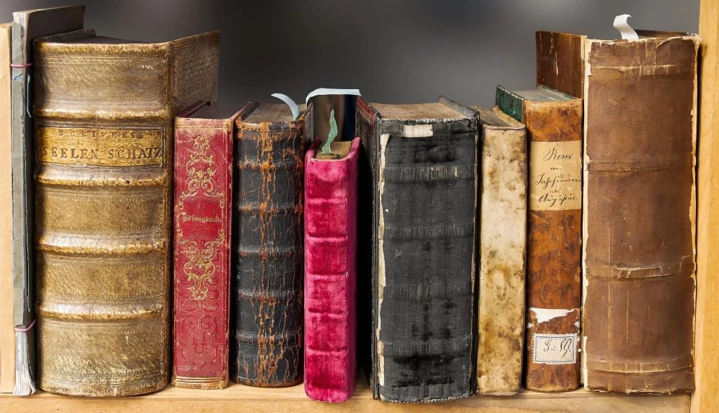 How to Read Literature and Understand It Better: Tips for Students and Adults