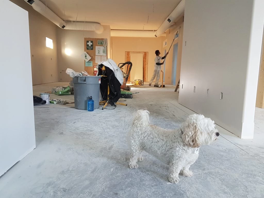 Pet-Friendly Apartments for Rent in Salt Lake City: A Guide for Animal Lovers