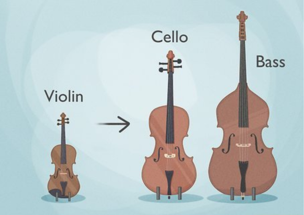 Violin/Cello/Double Bass Plucked String Compare: What’s the Difference