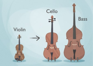 Violin