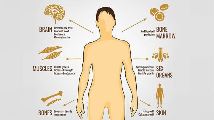 Causes of Low Testosterone: Low testosterone can stem from various factors, including: