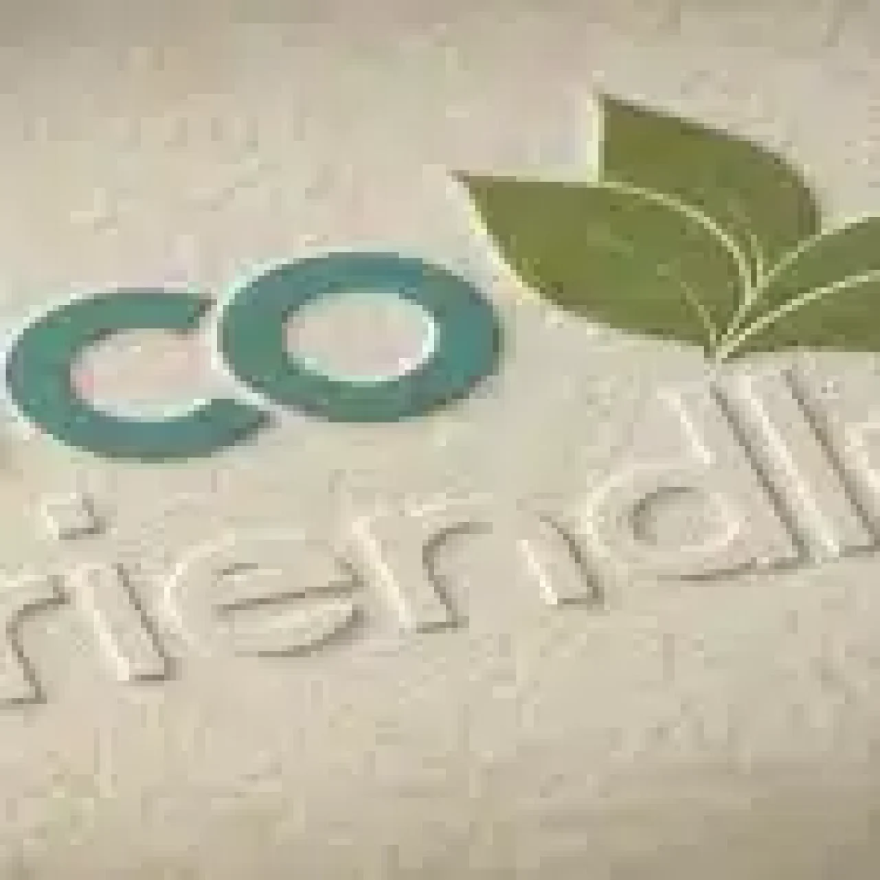 Eco-Friendly-Printing-Companies