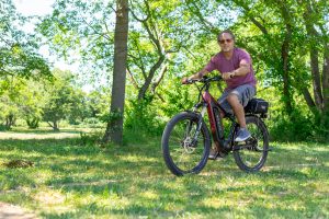 Electric Mini Bike vs. Traditional Pedal Bike