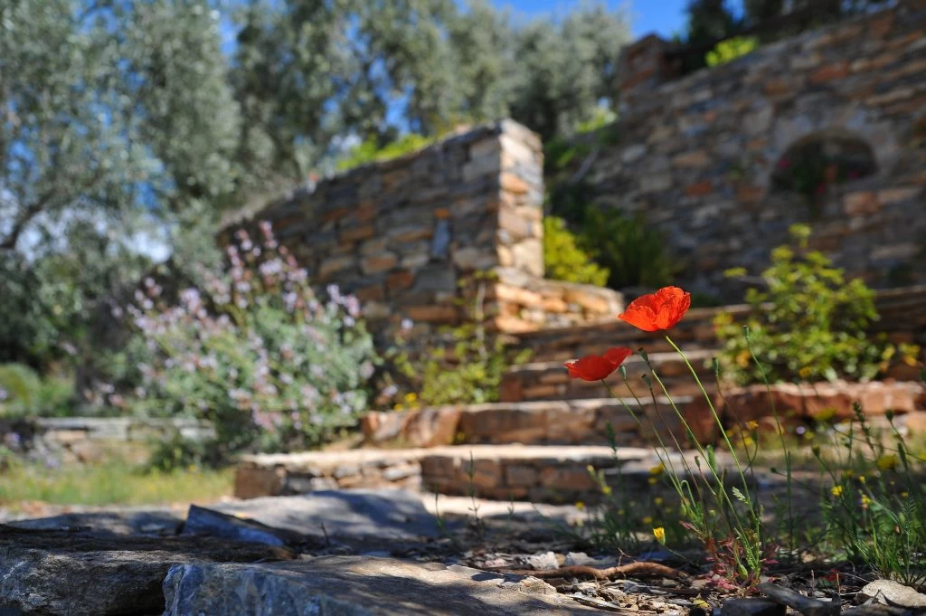 5 Tips for Choosing the Most Suitable Landscaping Company for Your Outdoor Structures