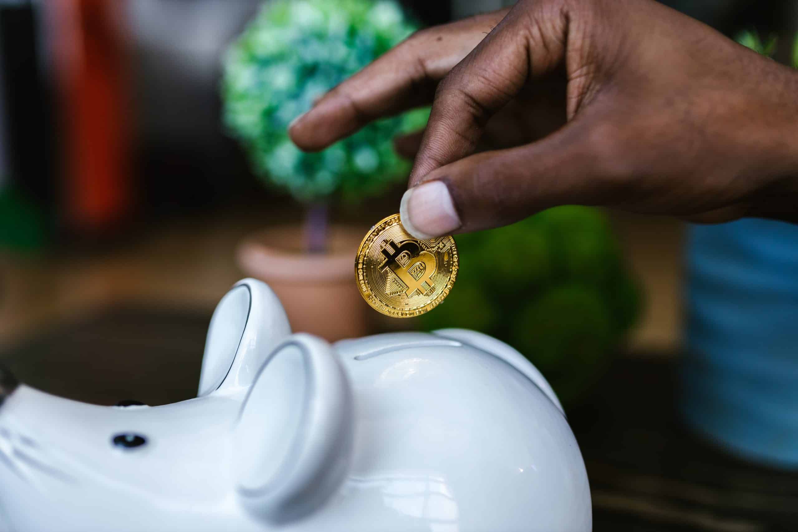 pexels rdne stock project 8369765 scaled