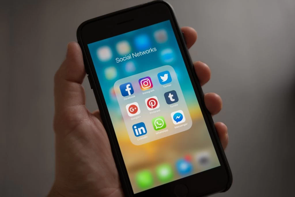 How do you download videos from Instagram and Facebook via SaveFrom.net?