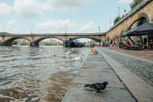 A beautiful riverfront holiday home with a balcony overlooking the Mekong River, showcasing the luxurious and serene environment.