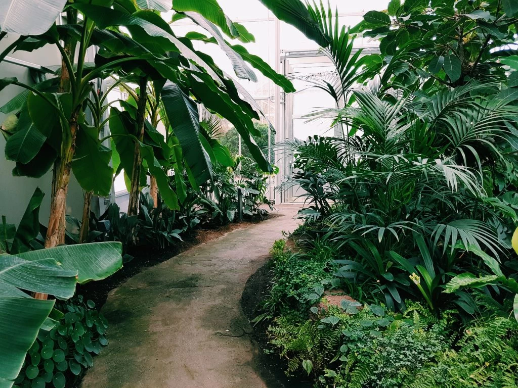 Principles of Garden Landscaping You Should Know