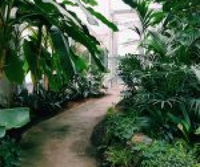 A beautifully landscaped garden with vibrant flowers, lush green shrubs, and a neatly trimmed lawn, showcasing different gardening techniques and plant varieties.