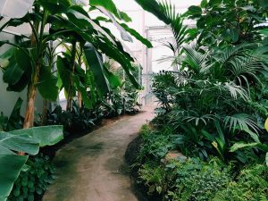 A beautifully landscaped garden with vibrant flowers, lush green shrubs, and a neatly trimmed lawn, showcasing different gardening techniques and plant varieties.