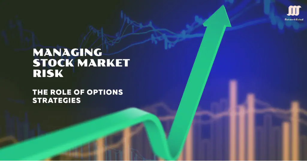 The Role of Options Strategies in Risk Management for US Stock Market Investors