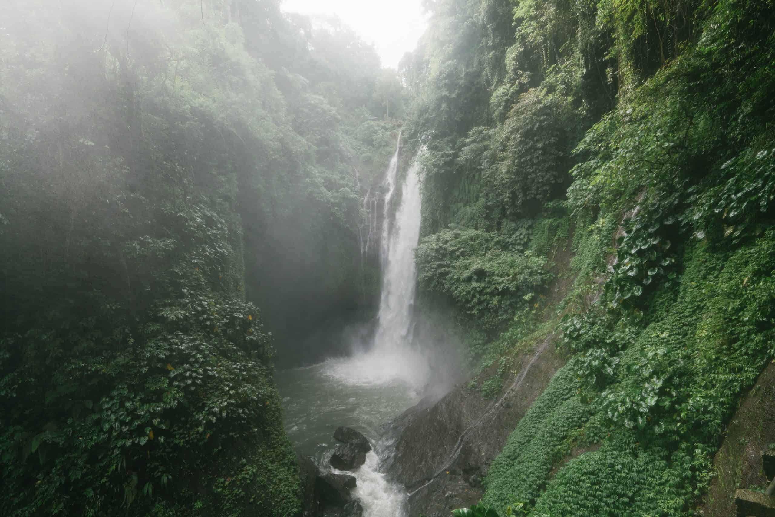 Waterfall Oasis