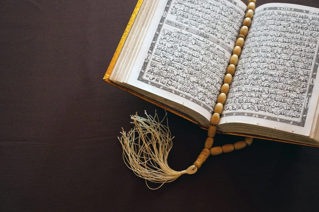 Surah Yasin in PDF – Read online or Download