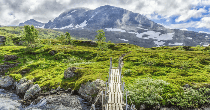 Norway’s Wildlife from Your Doorstep: Glamping Near National Parks