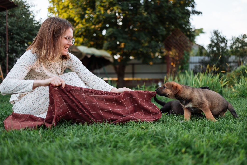 How Are Dog Blankets Beneficial