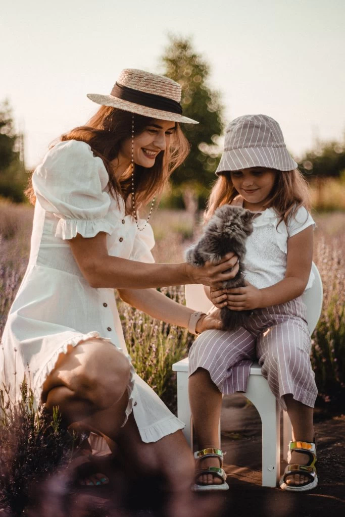 6 Must-Haves For All Cat Parents