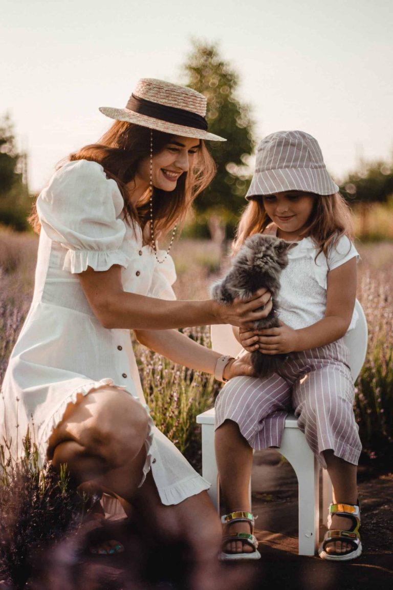 6 Must-Haves For All Cat Parents