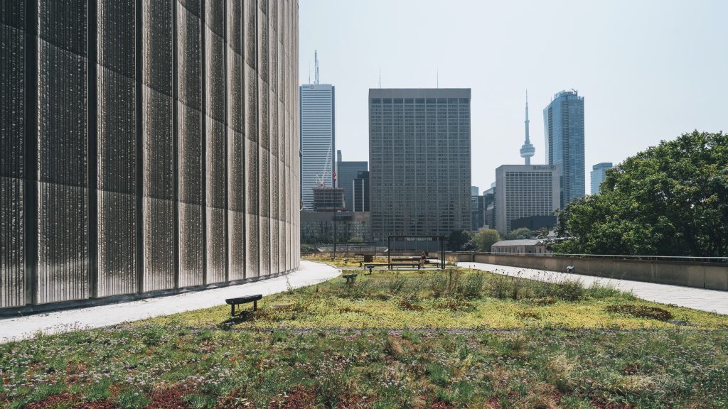 The Rise of Newly Built Condos in Downtown Toronto: A Modern Urban Living Landscape