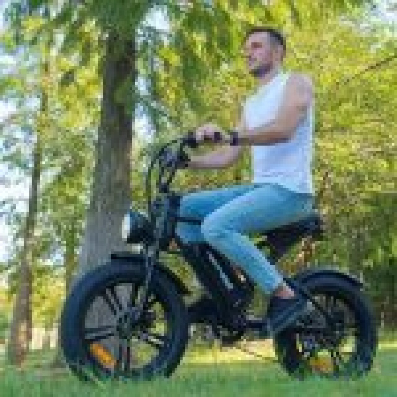 Ebike