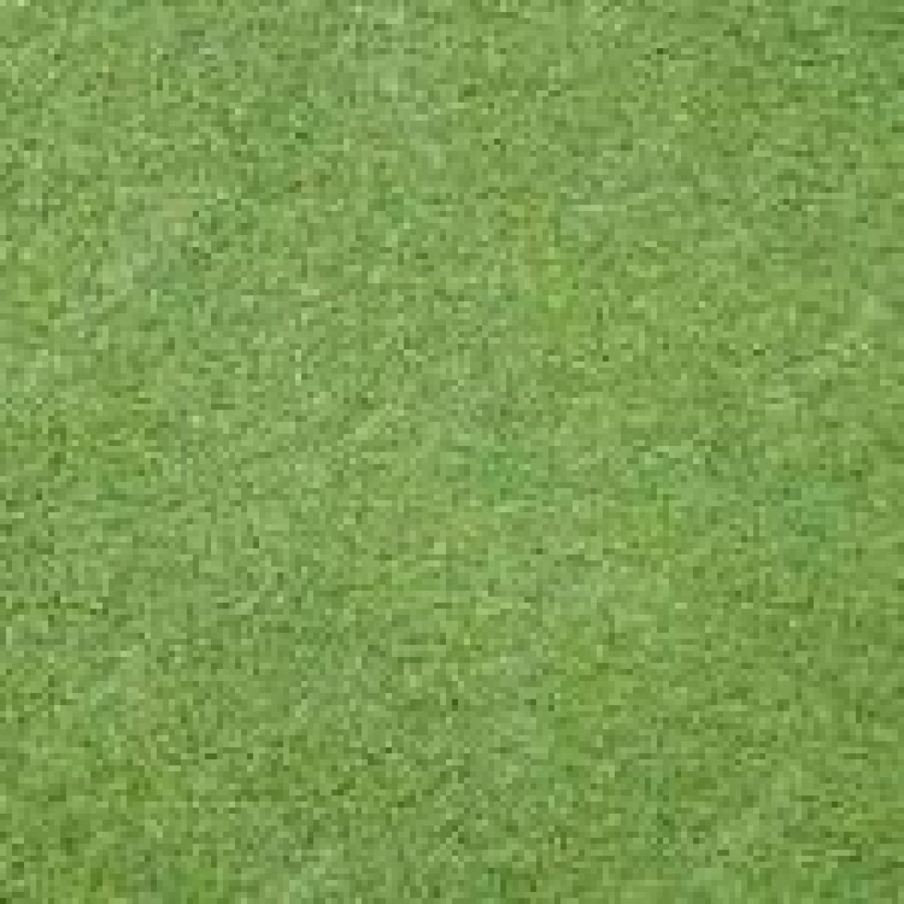 Grass Seed Mixes vs. Single Species
