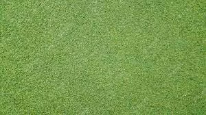Grass Seed Mixes vs. Single Species