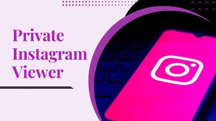 IGLookup Now IMGLookup – Advanced Private Instagram Viewer