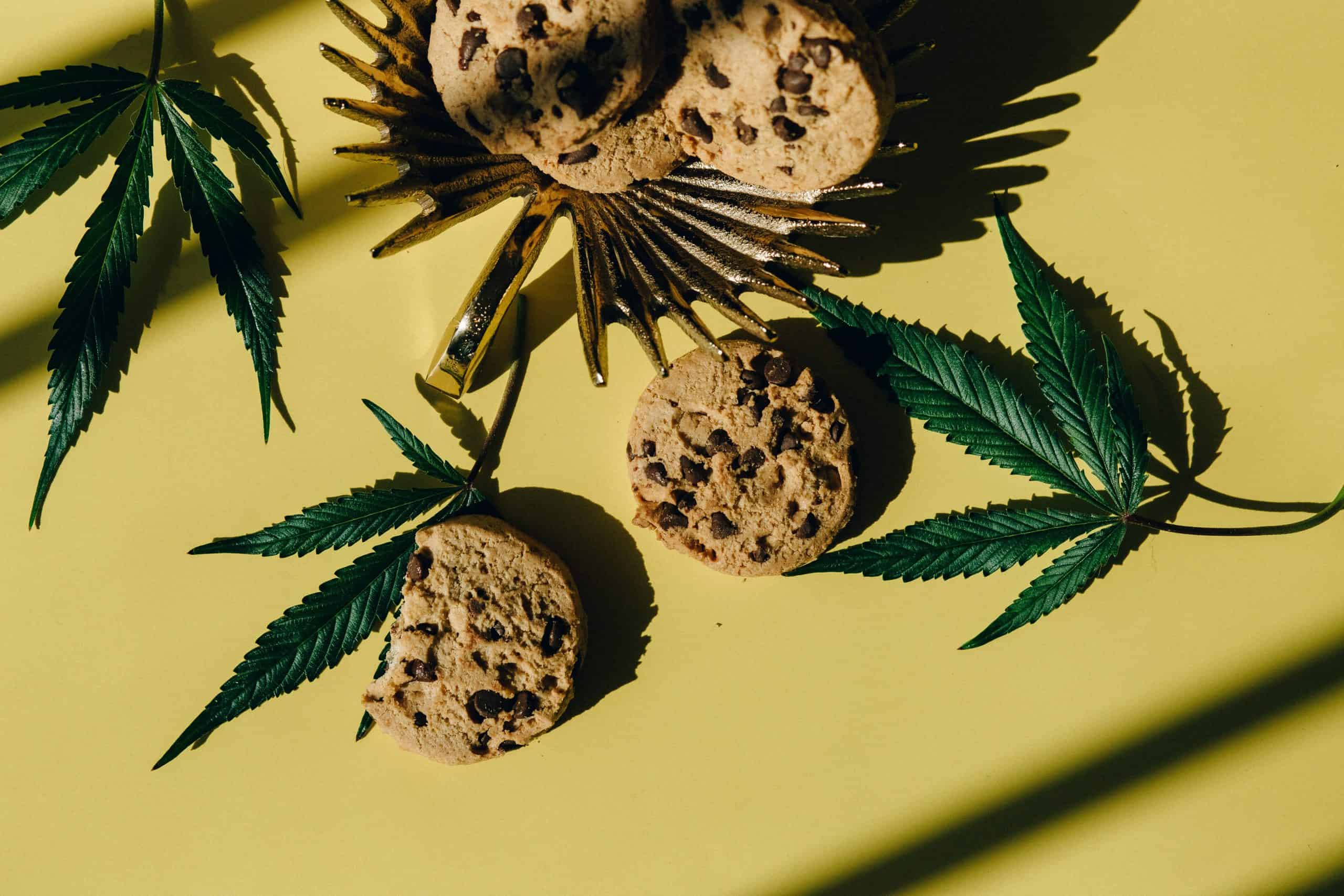 Medicinal Cannabis