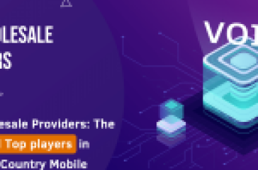 Wholesale VoIP providers