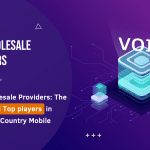 VoIP Wholesale Providers: The Future and Top players in 2023 | My Country Mobile