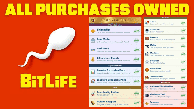 Examining the Features of BitLife Mod Apk: Release the Digital Universe