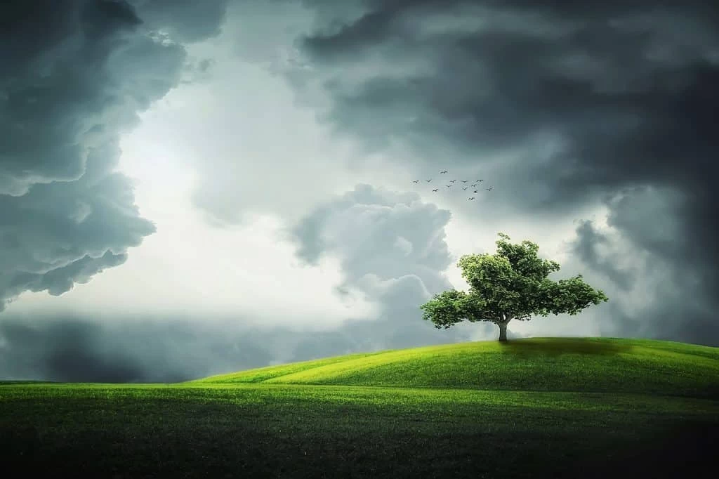 Examining the Mysterious Universe of Cloud Meadow
