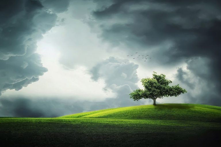 Examining the Mysterious Universe of Cloud Meadow