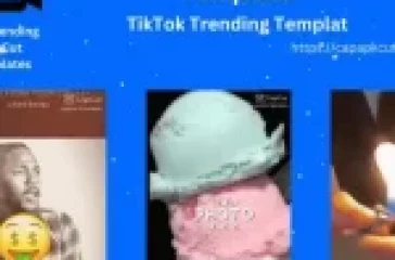 IDFWU CapCut Template