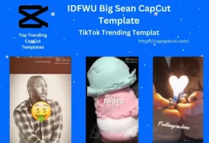 IDFWU CapCut Template