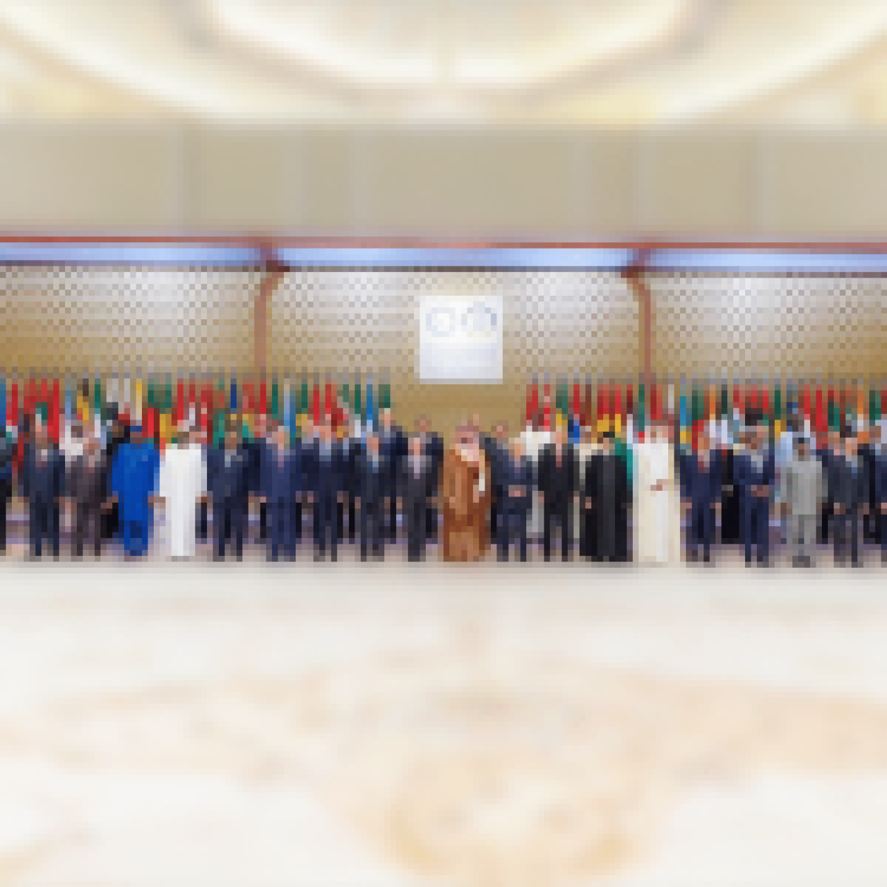 Muslim world leadership
