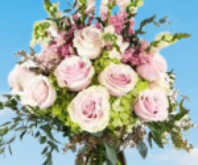 Blooms