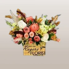 Blooms
