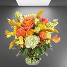 Blooms