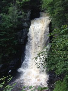 A powerful waterfall plunging into a misty pool amidst verdant forest foliage.