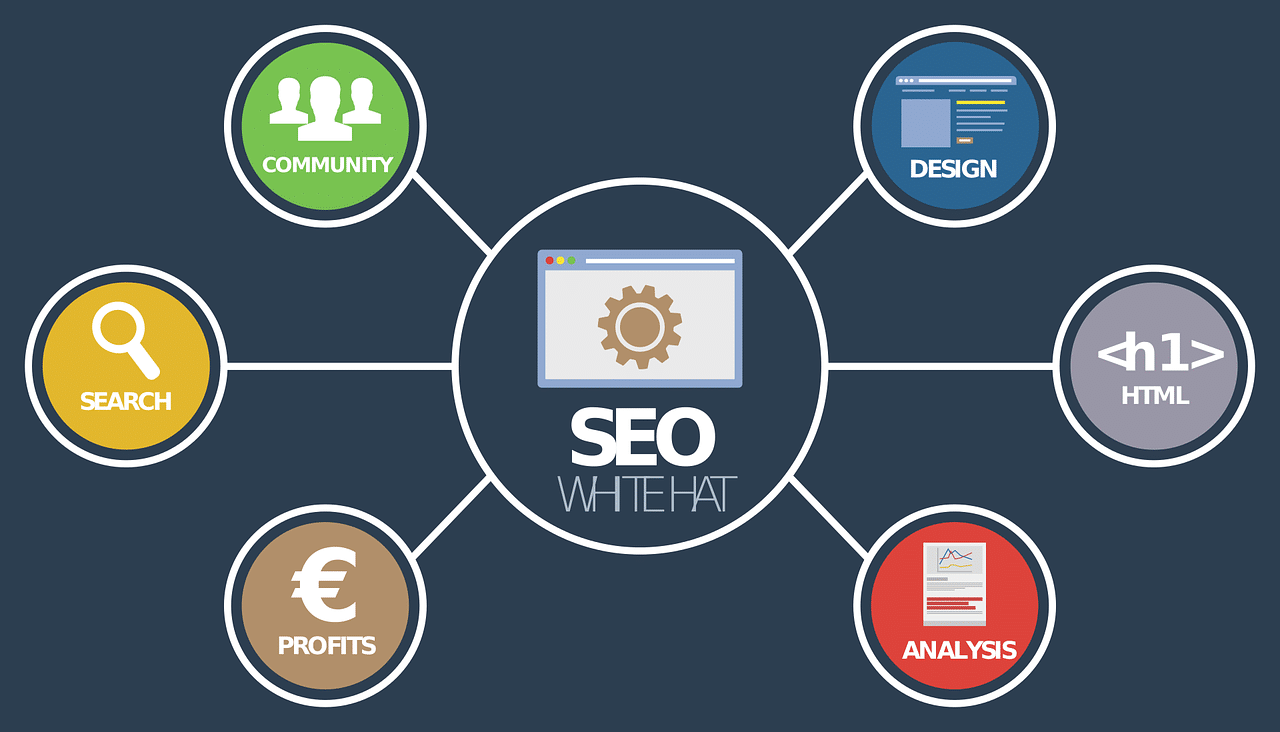 SEO Consultant